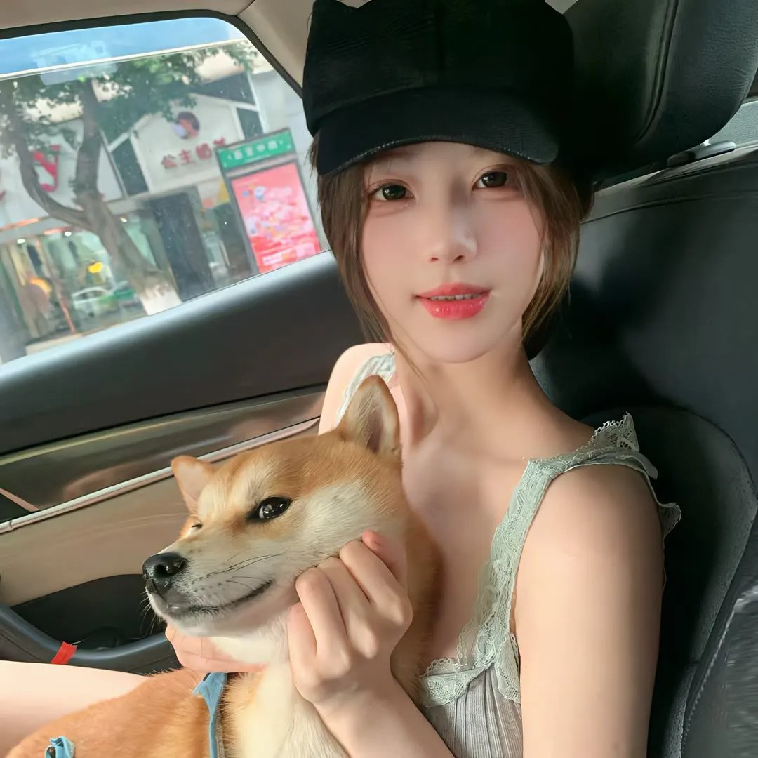 做一只鸟真不容易